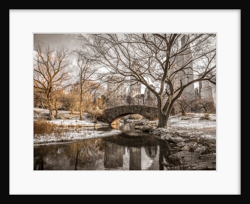 Central park in New York by Assaf Frank